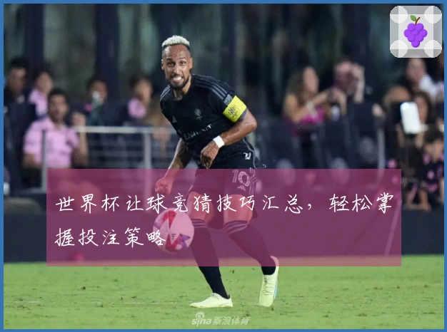 世界杯让球竞猜技巧汇总，轻松掌握投注策略