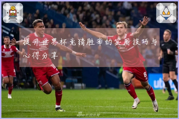 提升世界杯竞猜胜率的实用技巧与心得分享