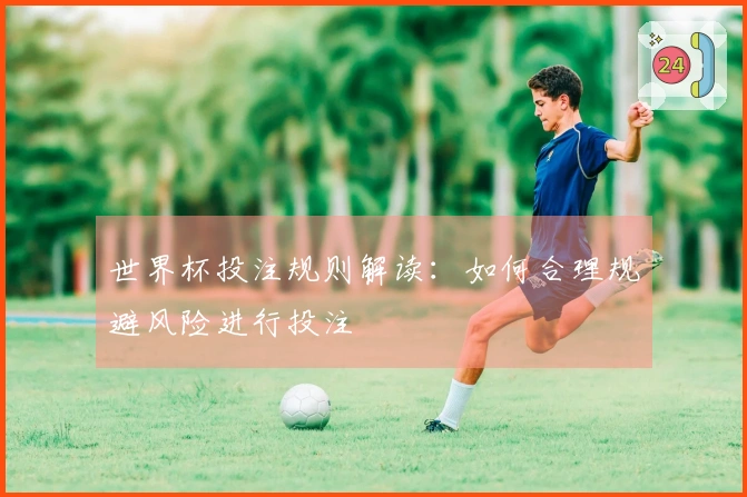 世界杯投注规则解读：如何合理规避风险进行投注