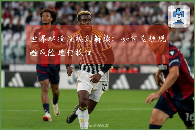 世界杯投注规则解读：如何合理规避风险进行投注