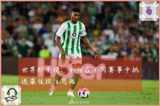 世界杯竞猜：如何在不同赛事中挑选最佳投注思路