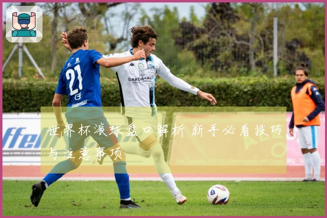 世界杯滚球盘口解析 新手必看技巧与注意事项
