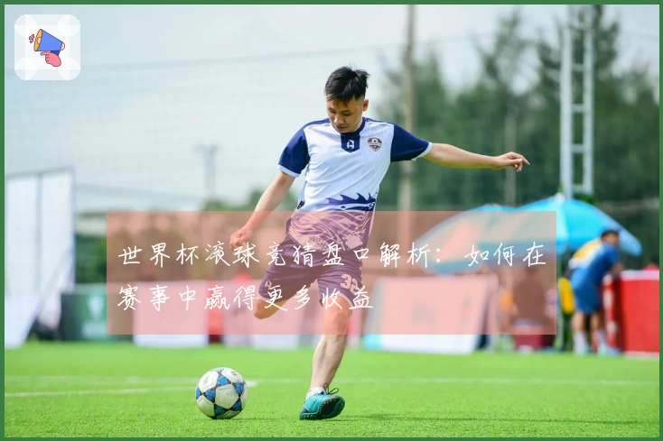 世界杯滚球竞猜盘口解析：如何在赛事中赢得更多收益