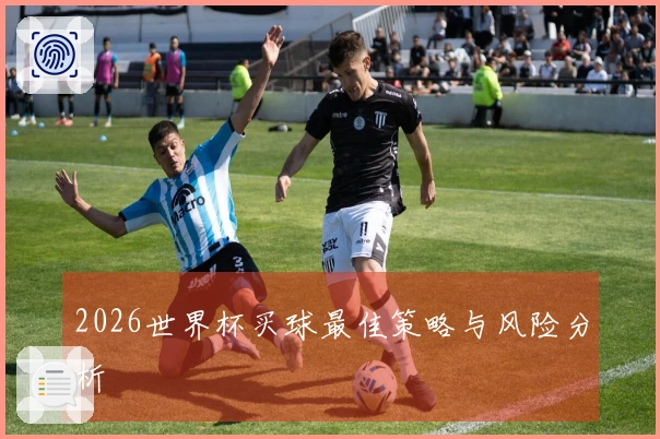 2026世界杯买球最佳策略与风险分析