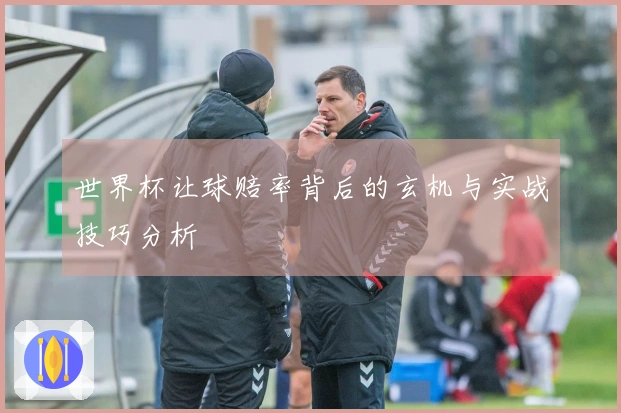 世界杯让球赔率背后的玄机与实战技巧分析