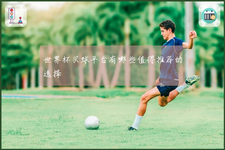 世界杯买球平台有哪些值得推荐的选择