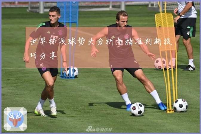 世界杯滚球势头分析与精准判断技巧分享