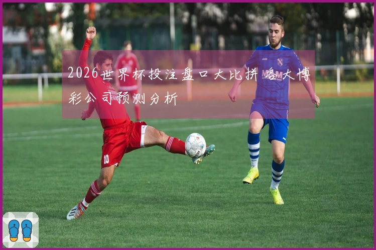 2026世界杯投注盘口大比拼 各大博彩公司预测分析