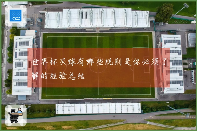 世界杯买球有哪些规则是你必须了解的经验总结