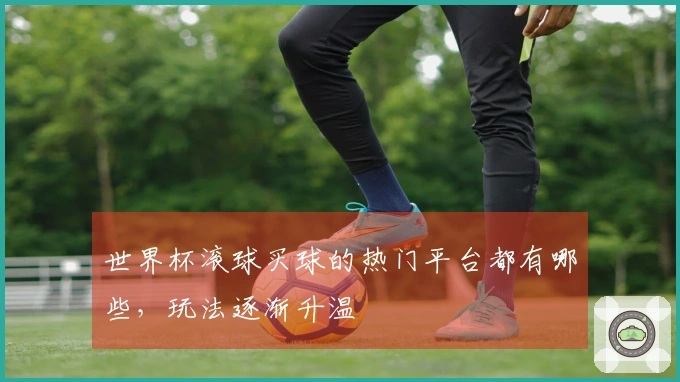 世界杯滚球买球的热门平台都有哪些，玩法逐渐升温