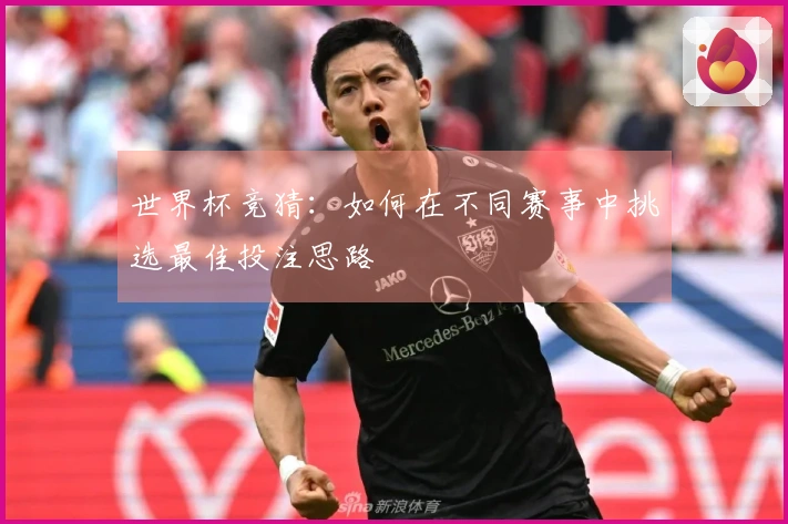 世界杯竞猜：如何在不同赛事中挑选最佳投注思路